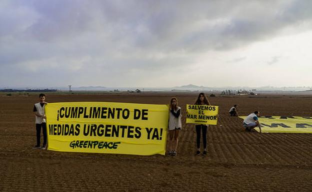 Greenpeace saca pancartas en Cartagena para exigir la protección del Mar Menor