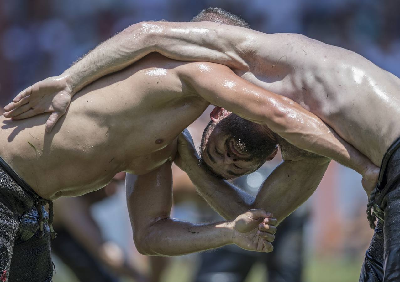 Puñetazos aliñados