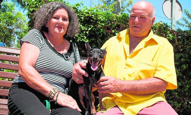 «'Curro' se volvió loco cuando me vio»