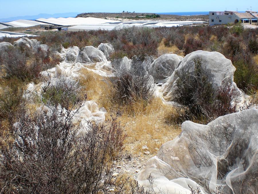 La zona cero de la basura marina en España
