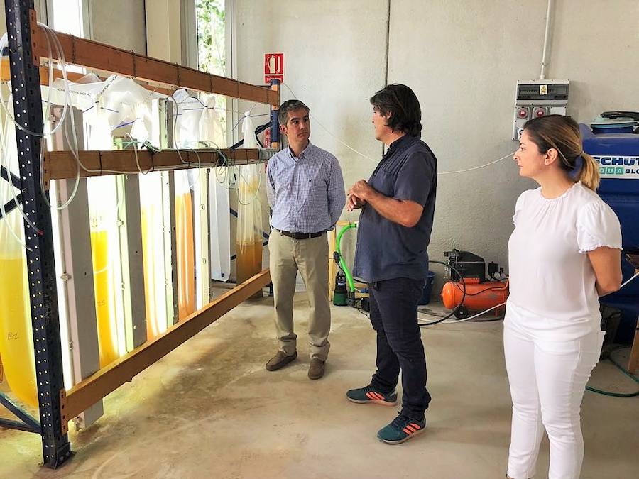 Agricultura trabaja en técnicas de oxidación que permitan reutilizar el agua