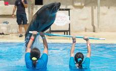 Tercera Escuela de Verano Adaptada en Terra Natura Murcia