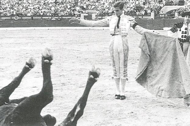 Orejas, rabos y hasta patas por estatuarios