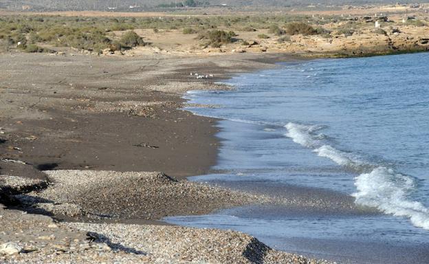 Ecologistas crean una brigada de emergencia para limpiar Marina de Cope