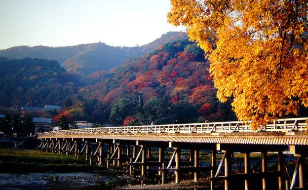 Japón, el placer de la caída de las hojas