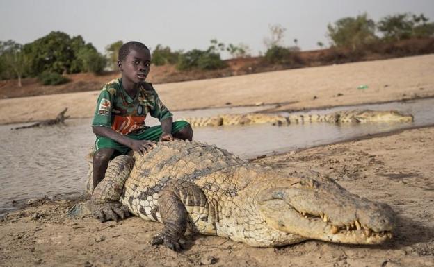 Los domadores de cocodrilos