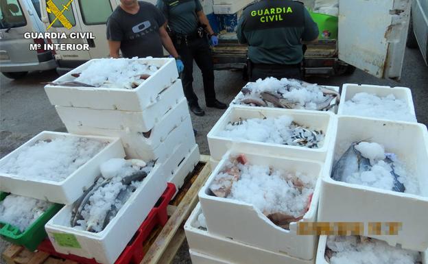Tres denunciados en Murcia por venta ambulante ilícita de una gran cantidad de pescado