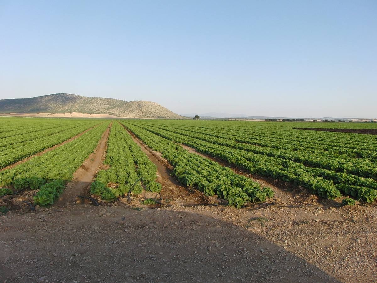 El nuevo paisaje del Noroeste