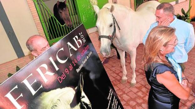 La Feria del Caballo reúne a 200 pura raza en el recinto del Huerto de la Rueda