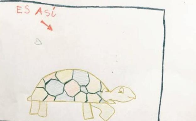 Historia con final feliz: Aparece 'Tortu', la tortuga que una niña buscaba llenando de dibujos todo el pueblo