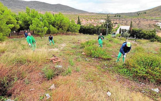 Una brigada de peones agrícolas desempleados pondrá a punto las pedanías de Lorca