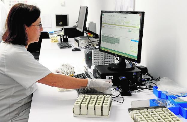 Detectan huevos de mosquito tigre en casi la mitad de las trampas puestas en la Región de Murcia