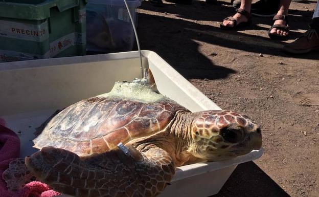 De Calblanque al mundo