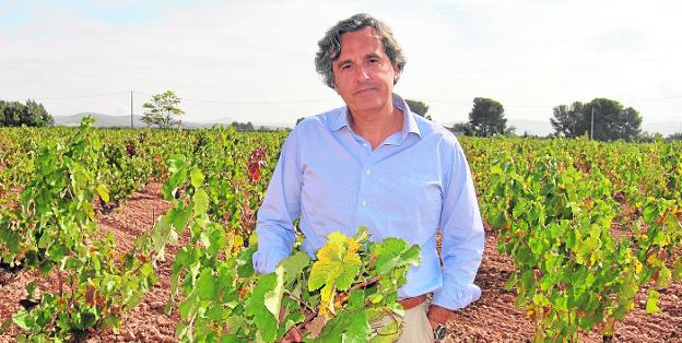 Miguel Ángel Martínez-Aroca: «Hay que lograr neutralizar los impactos del desarrollo»