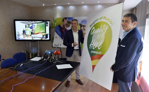 Proexport recuerda que las regiones con déficit hídrico «agrupan el 80% de la producción hortícola del país»