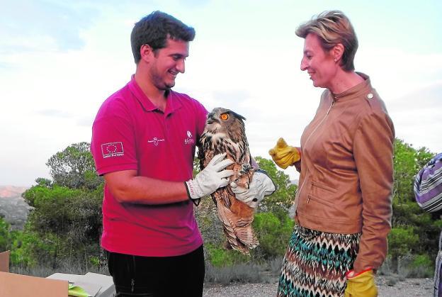 El centro de El Valle atiende a 68 búhos reales