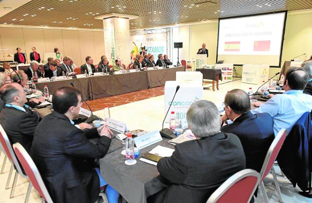 El sector de la fruta procesada apuesta por abrir nuevos mercados