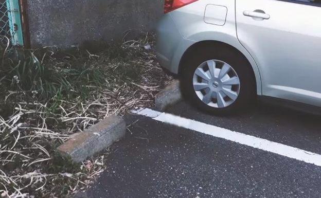 Puedes salvar una vida: ¿por qué debes dar un golpe en el capó del coche antes de arrancar?