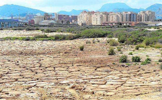 Castejón da a la Comunidad un mes para que le autorice a vallar el solar de Potasas