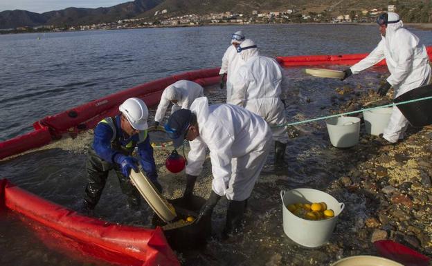 La Comunidad coordina la actuación en caso de vertido marítimo de hidrocarburos