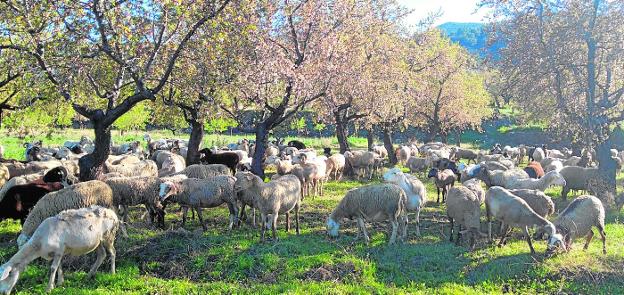 El valor del sabor sin alterar