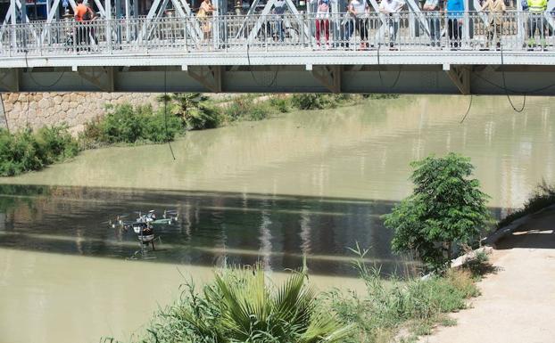 El mosquito tigre ha llegado ya a 31 de los 45 municipios