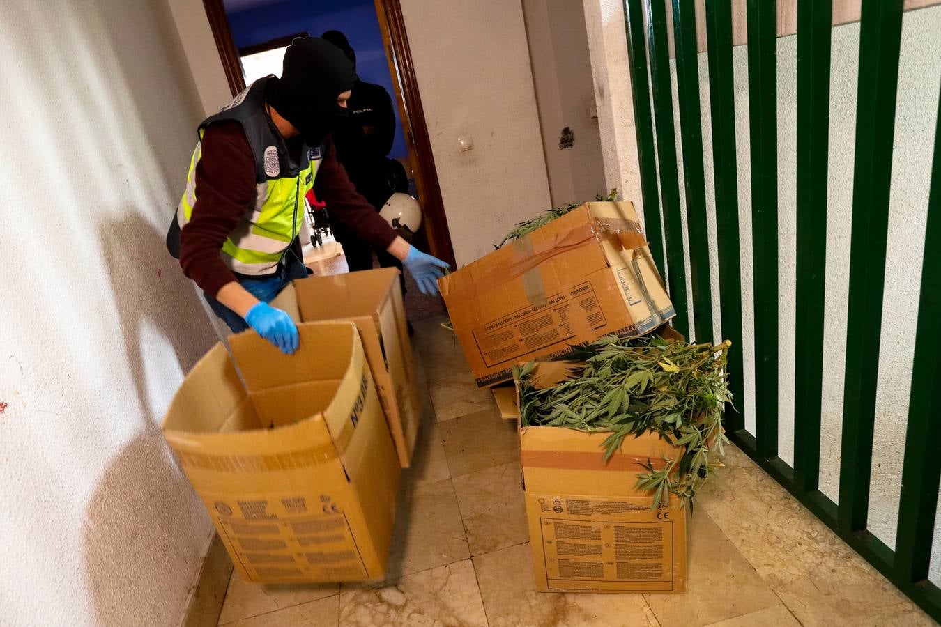 Golpe a un grupo de narcos liderado por una mujer en Espinardo