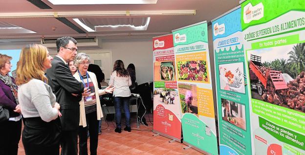 Manos Unidas advierte del despilfarro alimentario