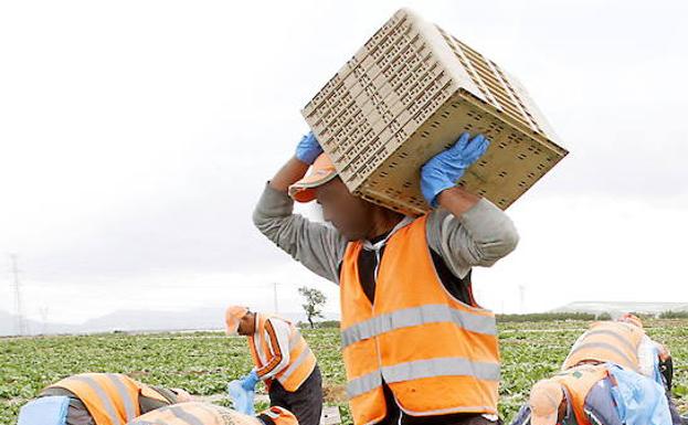 Los afiliados extranjeros a la Seguridad Social en la Región aumentan un 5,10% en octubre