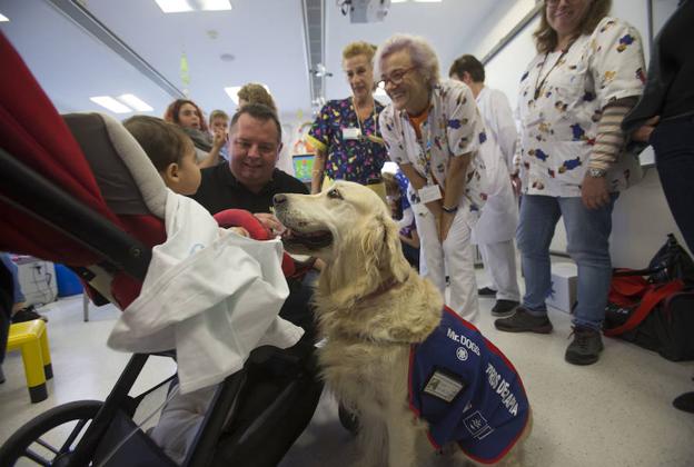 El 'Doctor Guau' llega al hospital