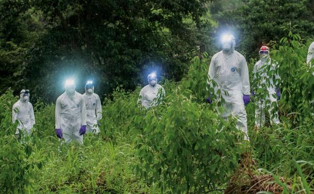 A la caza de la enfermedad X: la próxima epidemia mundial