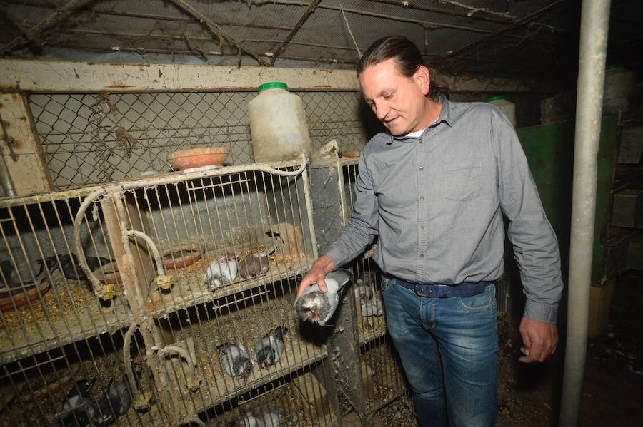 Queman y decapitan a un centenar de palomos de un vecino de Los Ramos