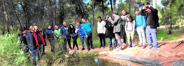 Charlas y talleres para proteger los anfibios