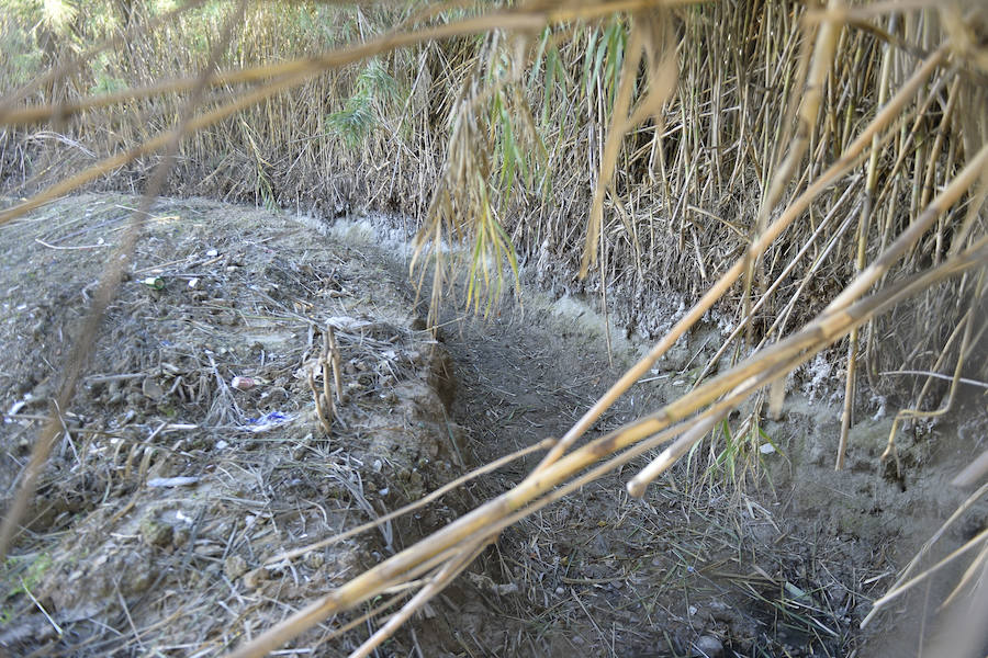 Urbanismo ordena la paralización de las obras de entubamiento de la acequia de La Arboleja