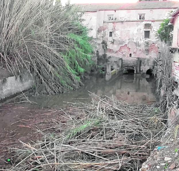 Denuncian la aparición de peces muertos en la acequia Aljufía