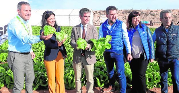 4.900 millones de plantas hortícolas