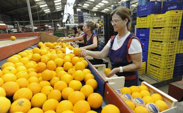 ¿De dónde son las naranjas de Mercadona?