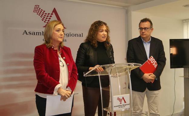 El PSOE denuncia que los presupuestos de Igualdad son «decepcionantes e ideológicos»