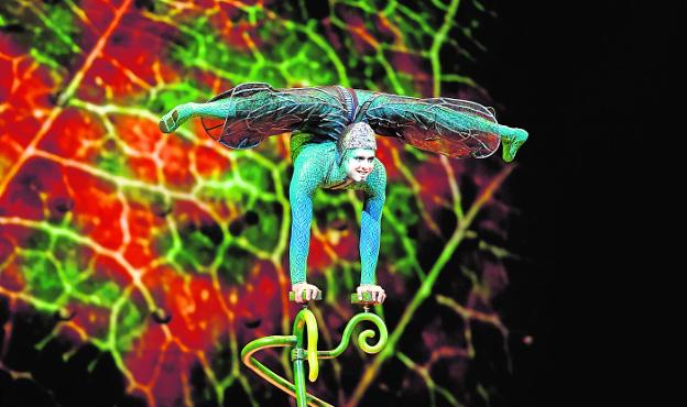 Un estallido de color y garra