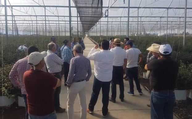 Firmas de tecnología agrícola venden sus avances en México