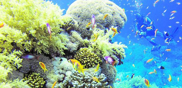 La Lista Verde crece