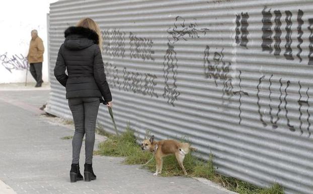 Lorca anuncia más multas a los dueños de perros que ensucien la vía pública