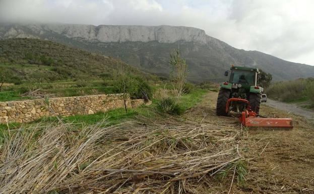 Fuera cañas del Cañar