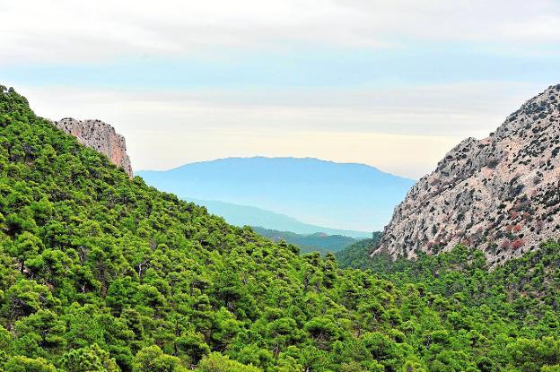 Sierra Espuña deberá ampliar su superficie en miles de hectáreas para ser parque nacional