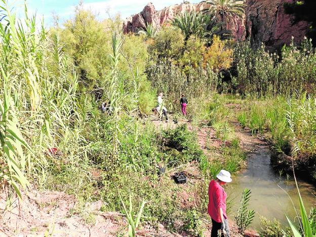 Ecologistas en Acción difunde los valores de la reserva del río Chícamo