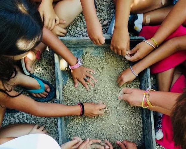 Sostenibilidad, al alcance de la mano