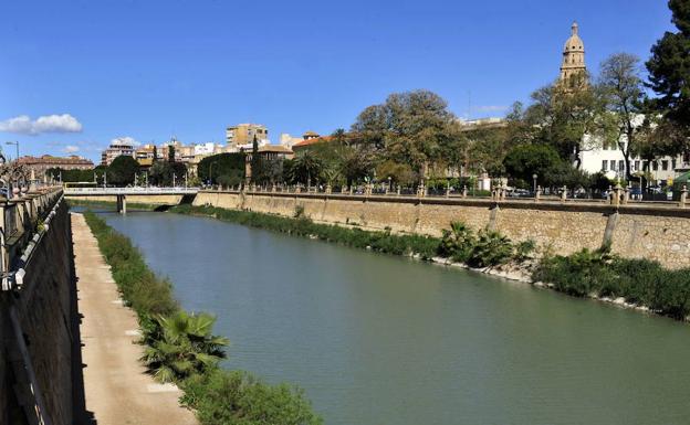 La adecuación de los márgenes del río Segura avanzan un paso más para su adjudicación