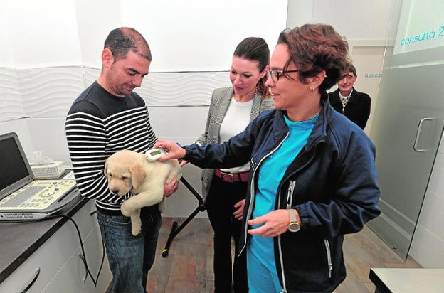 Sanidad inicia una campaña en Lorca para colocar microchips a medio millar de mascotas