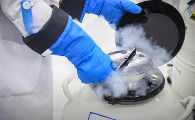 Cómo donar semen en España