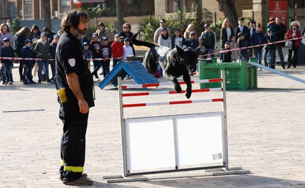 Héroes de cuatro patas